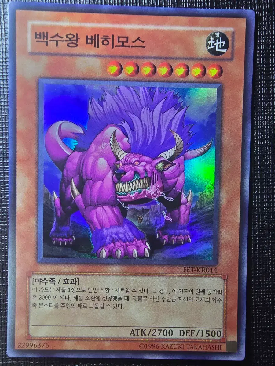 고대 요정 드래곤 얼티 퍼에 anpr-kr040 | 브랜드 중고거래 플랫폼